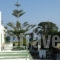 Alexandra Beach_best prices_in_Apartment_Dodekanessos Islands_Kos_Kos Chora