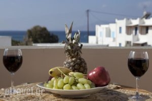 Iades Studios & Apartments_lowest prices_in_Apartment_Cyclades Islands_Paros_Paros Chora