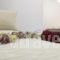 Iades Studios & Apartments_best deals_Apartment_Cyclades Islands_Paros_Paros Chora