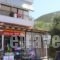 Kostas Studios_holidays_in_Room_Ionian Islands_Lefkada_Vasiliki