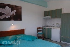 Eleni Studios_lowest prices_in_Hotel_Sporades Islands_Alonnisos_Alonissos Chora