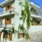 Eleni Studios_accommodation_in_Hotel_Sporades Islands_Alonnisos_Alonissos Chora