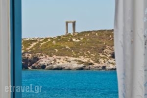 Adriani Studios_best deals_Hotel_Cyclades Islands_Naxos_Naxos chora