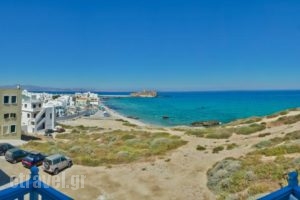 Adriani Studios_travel_packages_in_Cyclades Islands_Naxos_Naxos chora