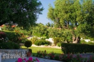 Aphrodite Studios_best prices_in_Hotel_Macedonia_Halkidiki_Kassandreia