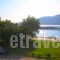 Kostas Studios_lowest prices_in_Room_Ionian Islands_Lefkada_Vasiliki