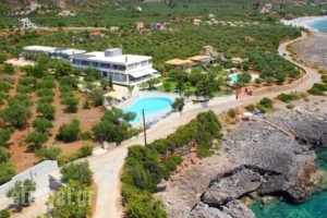 Cardamili Beach Hotel_holidays_in_Hotel_Thessaly_Magnesia_Pilio Area