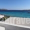 Glaros Rooms_accommodation_in_Room_Cyclades Islands_Koufonisia_Koufonisi Chora