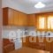 Fotini Apartments_best deals_Apartment_Crete_Lasithi_Palaekastro