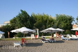 Posidonia Pension_best deals_Hotel_Central Greece_Evia_Amaranthos