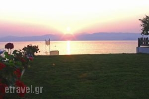 Seafront Apartments_best deals_Apartment_Ionian Islands_Corfu_Lefkimi