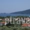 Golden View Studios_lowest prices_in_Hotel_Aegean Islands_Thasos_Thasos Chora