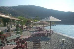 Angelena_holidays_in_Hotel_Central Greece_Fokida_Spilia of Trizonia