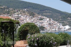 Studios Elpiniki_lowest prices_in_Hotel_Sporades Islands_Skopelos_Skopelos Chora