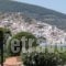 Studios Elpiniki_lowest prices_in_Hotel_Sporades Islands_Skopelos_Skopelos Chora