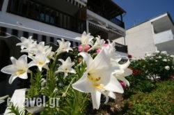 Oreos Appartments in Livadia, Viotia, Central Greece