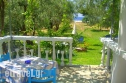 Studios Pelagos in Platanias, Chania, Crete