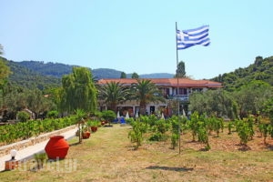 Studios Pelagos_holidays_in_Apartment_Sporades Islands_Skopelos_Panormos