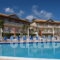 Zante View_accommodation_in_Apartment_Ionian Islands_Zakinthos_Zakinthos Rest Areas