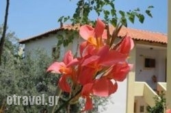 Hotel Heleni Apartments in Platanias, Chania, Crete