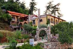 Pontios_accommodation_in_Hotel_Aegean Islands_Thasos_Chrysi Ammoudia