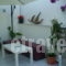 Evgenia Apartments_lowest prices_in_Apartment_Sporades Islands_Skiathos_Skiathos Chora