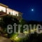 Aristea Apartments_lowest prices_in_Room_Ionian Islands_Lefkada_Lefkada Rest Areas