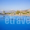 Aeolos_holidays_in_Apartment_Cyclades Islands_Paros_Chrysi Akti