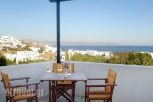 Albatross Hotel_best deals_Hotel_Cyclades Islands_Paros_Piso Livadi