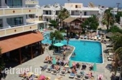 Sevi Apartments in Gavrio, Andros, Cyclades Islands