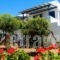 Maroussa Studios_accommodation_in_Hotel_Cyclades Islands_Naxos_Naxos chora