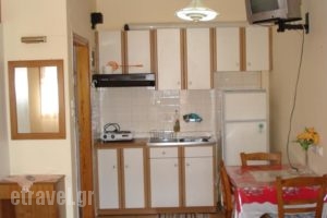 Zephyros_holidays_in_Hotel_Peloponesse_Arcadia_Stemnitsa