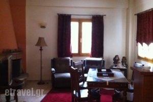 Odos Oneiron_holidays_in_Hotel_Central Greece_Viotia_Arachova