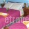 Iris_best deals_Hotel_Central Greece_Fokida_Delfi