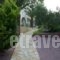 Christina_accommodation_in_Apartment_Ionian Islands_Zakinthos_Planos