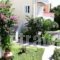 Alkioni Studios_holidays_in_Hotel_Aegean Islands_Lesvos_Vatera