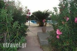 Anthemis Apartments in Rethymnon City, Rethymnon, Crete