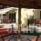 Natasa Studios_holidays_in_Hotel_Ionian Islands_Ithaki_Ithaki Chora