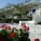 Bungalows Marina_best deals_Hotel_Cyclades Islands_Paros_Naousa