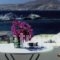 Despina's Rooms And Apartments_travel_packages_in_Cyclades Islands_Paros_Naousa