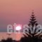 Amaril Apartments_best deals_Apartment_Crete_Rethymnon_Rethymnon City