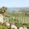 Alkion Apartments_best deals_Apartment_Crete_Chania_Georgioupoli