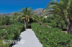 Cherry Village in Naxos Chora, Naxos, Cyclades Islands