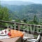 Guesthouse Kallisti_best deals_Apartment_Thessaly_Magnesia_Anilio