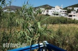 Aegialis in Vasiliki, Lefkada, Ionian Islands