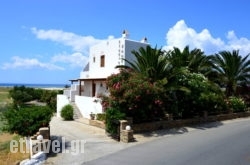 Zanneta Studios in Mikri Vigla, Naxos, Cyclades Islands