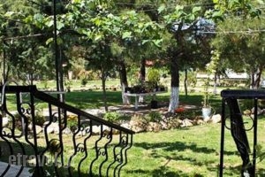 Studios Dimitraki_best deals_Hotel_Aegean Islands_Thasos_Thasos Chora