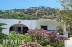 Georgia Studios in Ikaria Chora, Ikaria, Aegean Islands