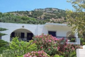 Georgia Studios_accommodation_in_Hotel_Aegean Islands_Ikaria_Ikaria Chora