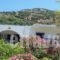 Georgia Studios_accommodation_in_Hotel_Aegean Islands_Ikaria_Ikaria Chora